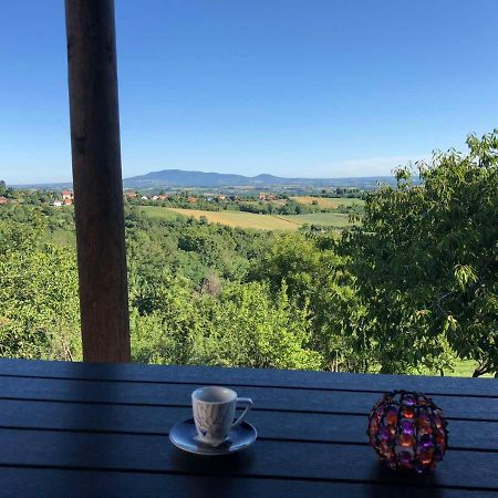 Vila Pogled Arandjelovac Luaran gambar