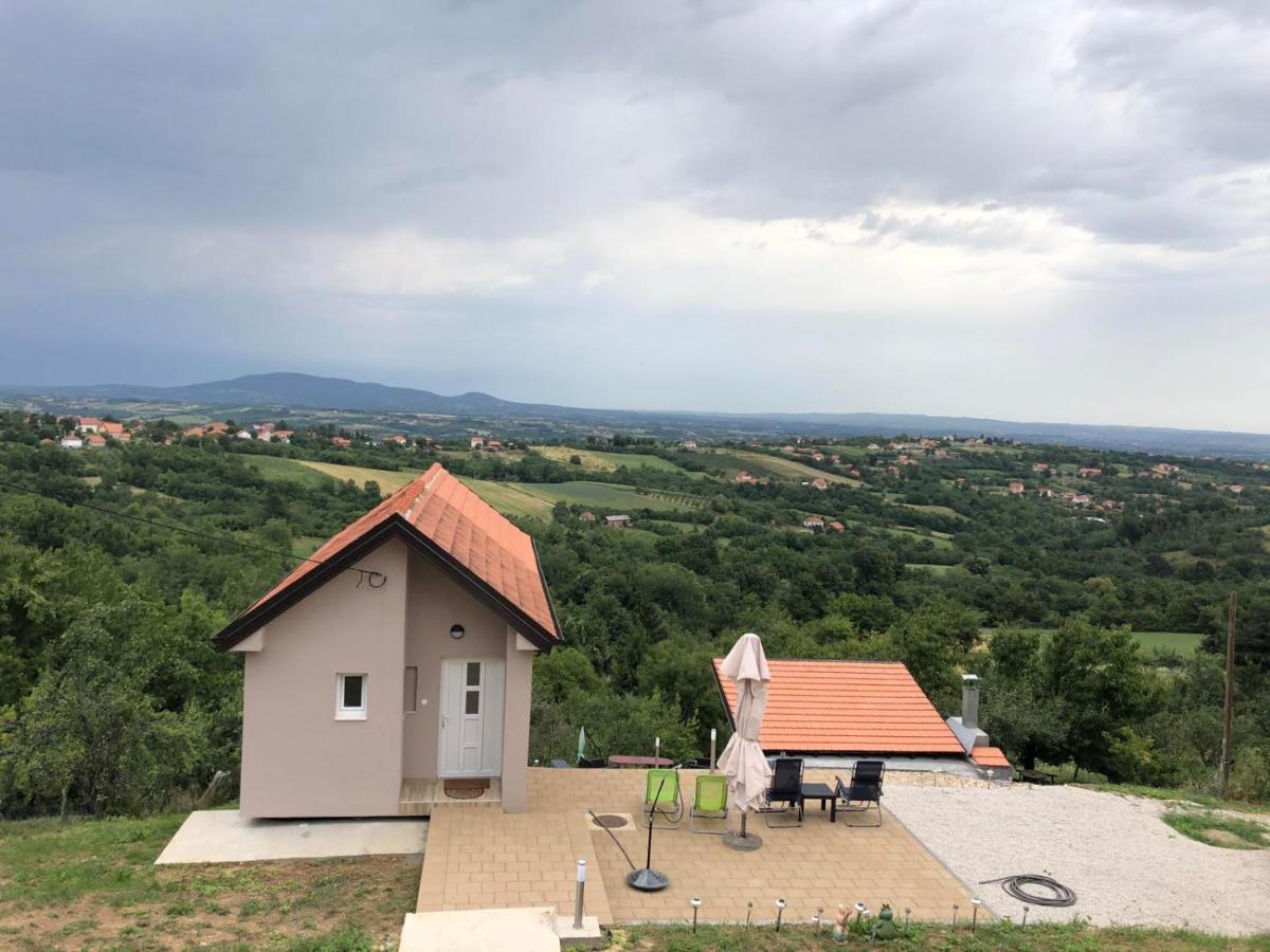 Vila Pogled Arandjelovac Luaran gambar