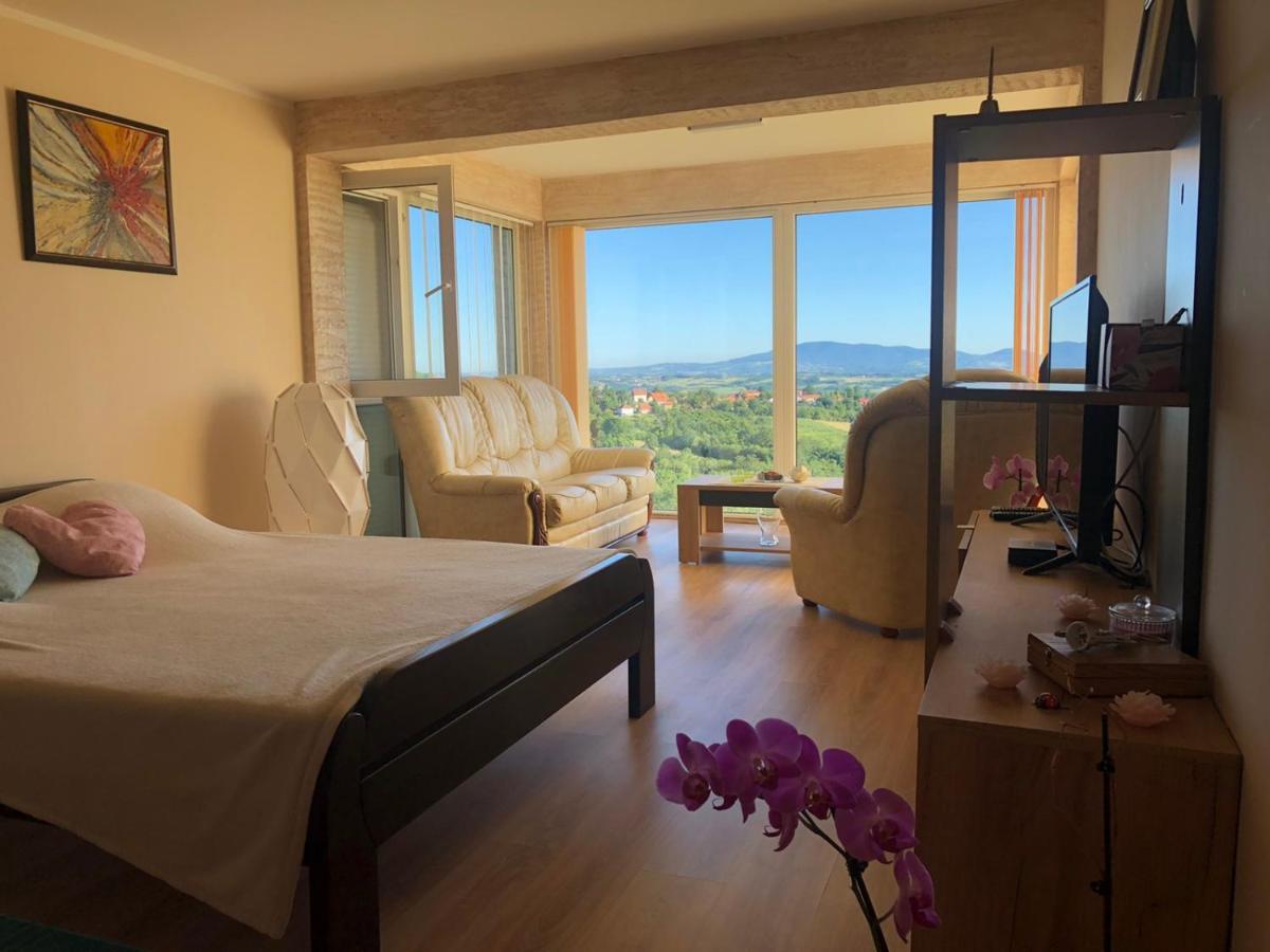 Vila Pogled Arandjelovac Luaran gambar