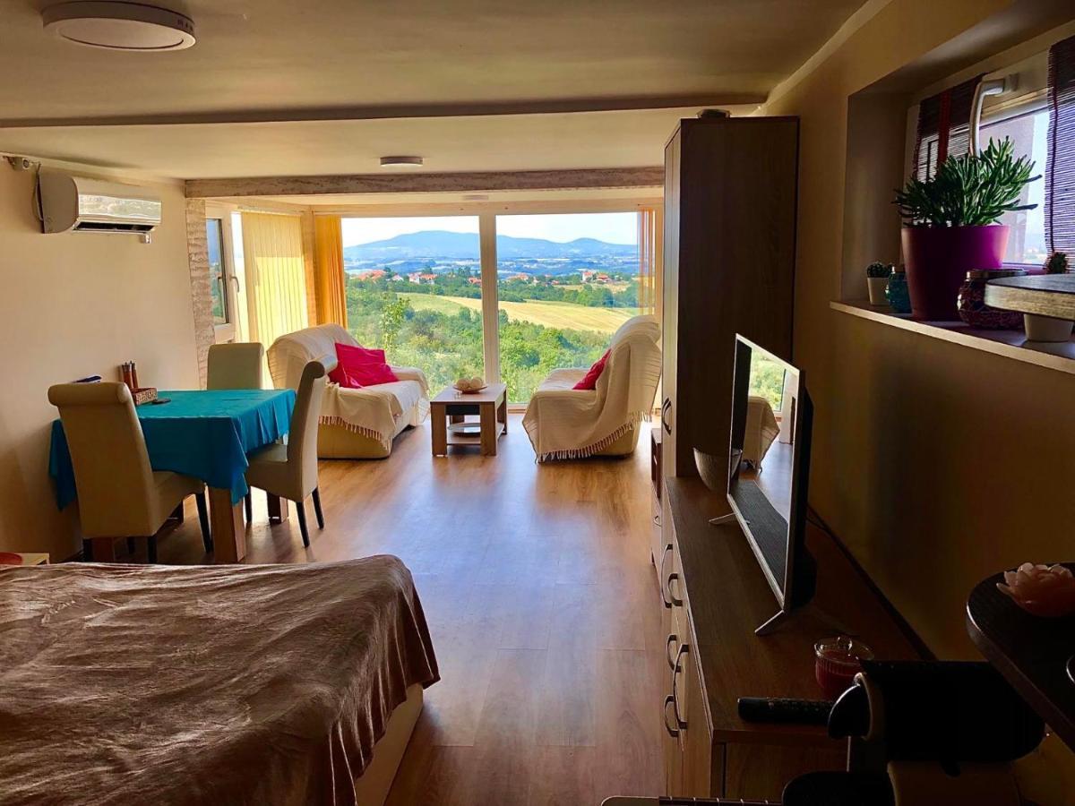 Vila Pogled Arandjelovac Luaran gambar