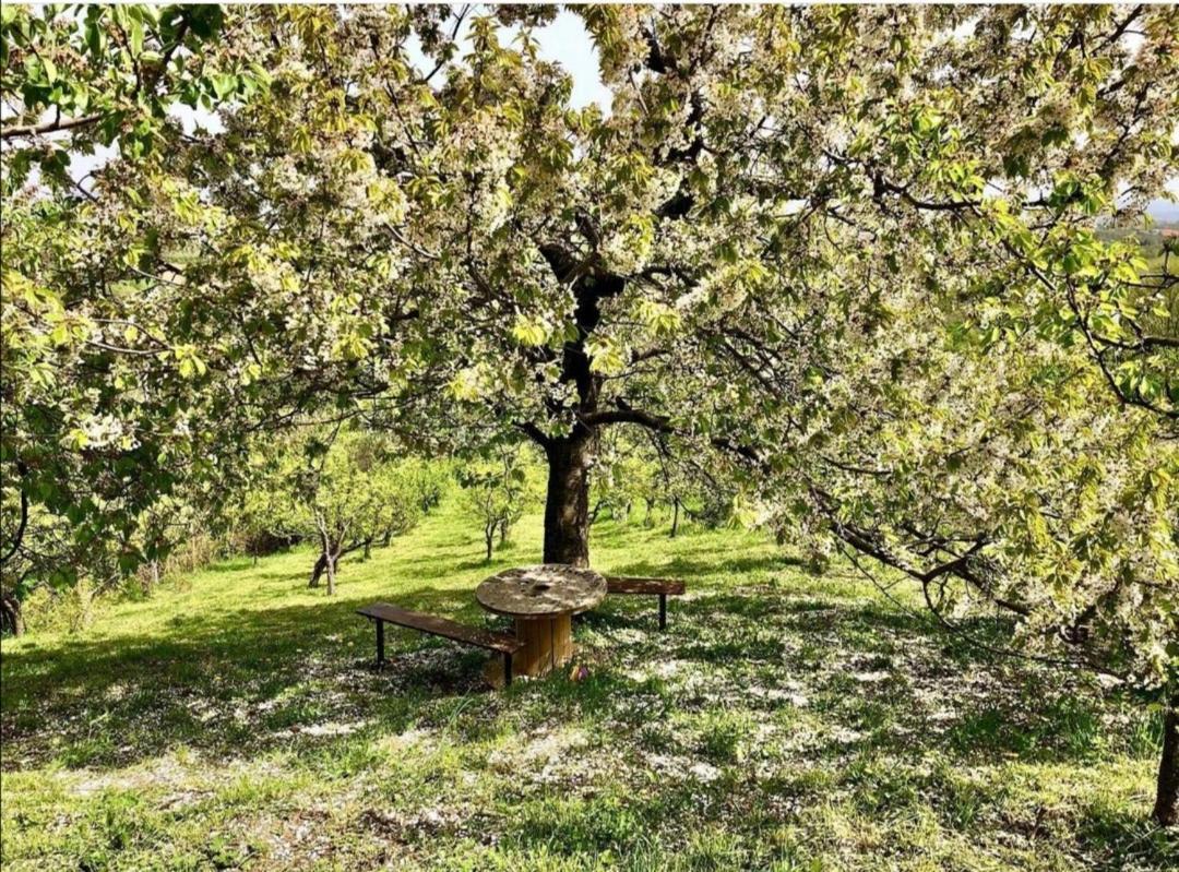 Vila Pogled Arandjelovac Luaran gambar