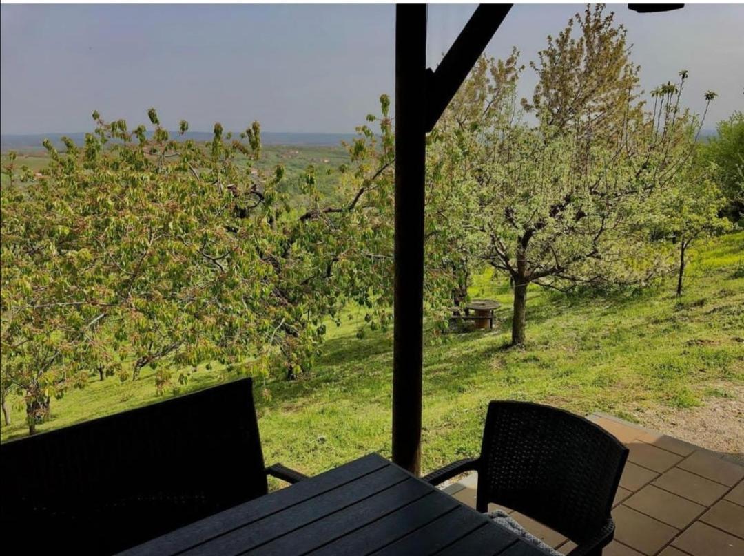 Vila Pogled Arandjelovac Luaran gambar
