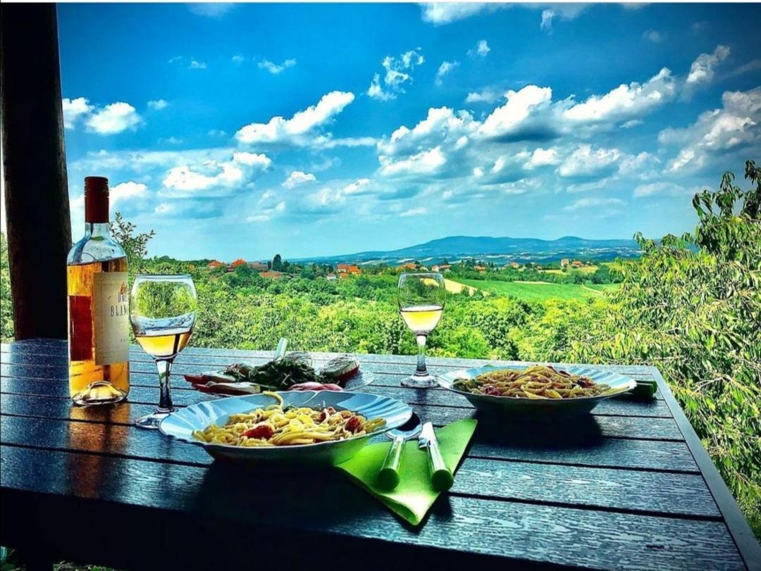 Vila Pogled Arandjelovac Luaran gambar