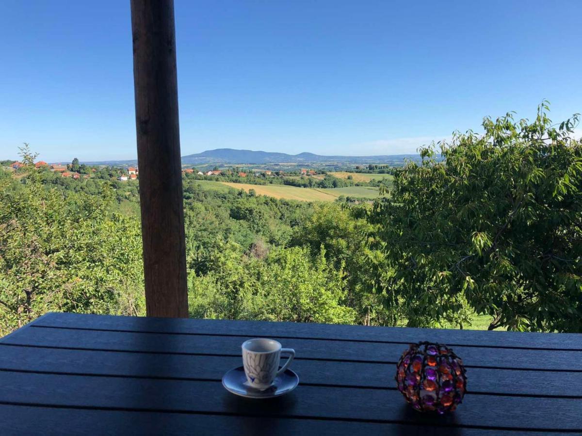 Vila Pogled Arandjelovac Luaran gambar